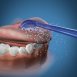 牙刷噴頭<br>Toothbrush Tip<br>TB-100E
